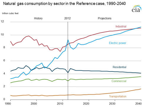 The Growth of the Consumption of Natural Gas in the US