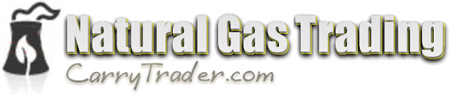 Natural Gas is a very important energy asset used in a great variety of applications including heating, transportation, commercial and industrial settings